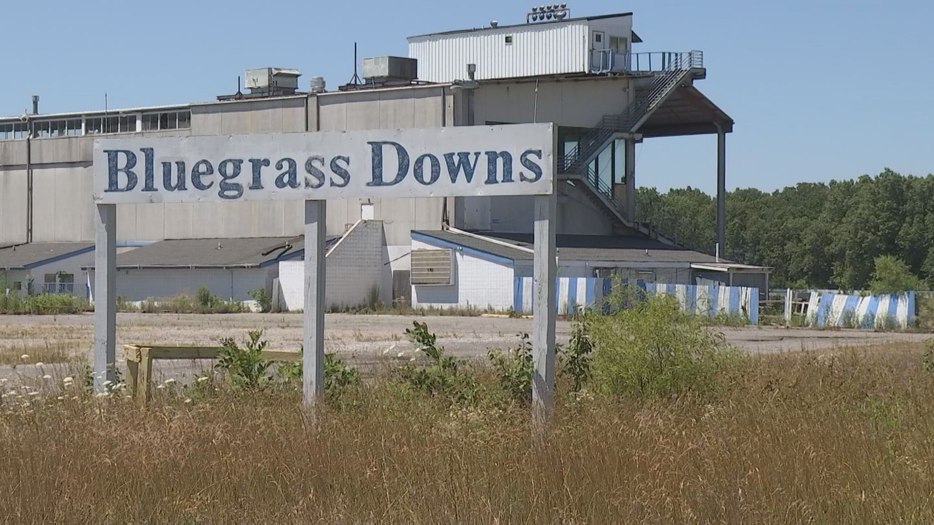bluegrass downs